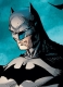 The Bat The Bat