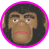 Mego planet of the apes zira prototype