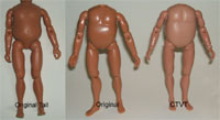 fatbody