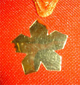 Medal Emblem