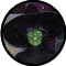 Mego Wicked Witch